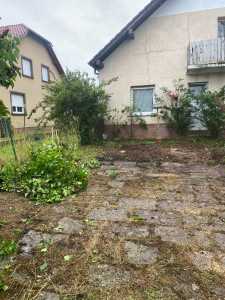 Photo de galerie - Elagage et coupe d'arbres