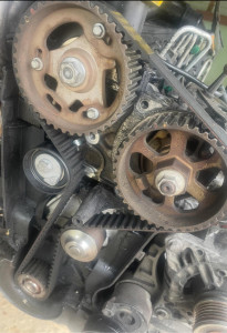 Photo de galerie - Distribution 