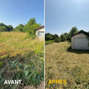 Photo de galerie - Tonte de pelouse - Débroussaillage