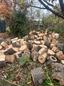 Photo de galerie - Débitage de tous les charpentières en 50 cm