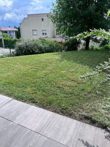 Photo de galerie - Tonte d’un jardin