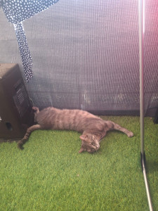 Photo de galerie - Repos