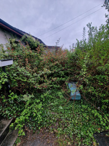 Photo de galerie - Paysagiste - Aménagement du jardin