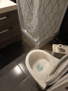 Photo de galerie - Ménage