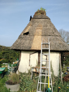 Photo de galerie - Couverture - Toiture