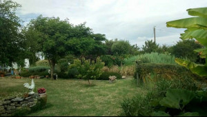 Photo de galerie - Tonte 