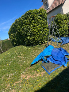 Photo de galerie - Taille et ramassage des déchets vert