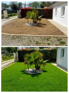 Photo de galerie - Engazonnement gazon rustique Pro Sud avril 2023