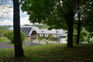 Photo de galerie - Tonte de pelouse - Débroussaillage