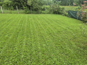 Photo de galerie - Tonte de pelouse et ramassage .