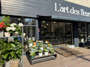 Photo de galerie - Ménage