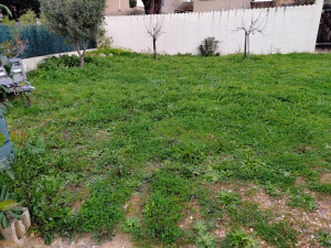 Photo de galerie - Tonte