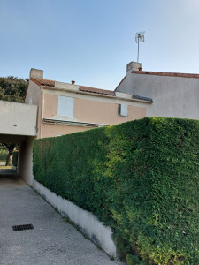 Photo de galerie - Taille de haies et d'arbustes