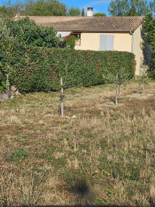 Photo de galerie - Taille de haie, tonte de pelouse, debroussaillage, élagage ect...