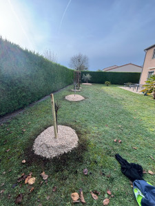 Photo de galerie - Plantation avec paillage 