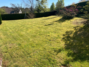 Photo de galerie - Tonte 