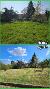 Photo de galerie - Tonte de pelouse - Débroussaillage
