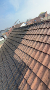 Photo de galerie - Nettoyage toiture 