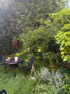 Photo de galerie - Remise en forme du jardin 