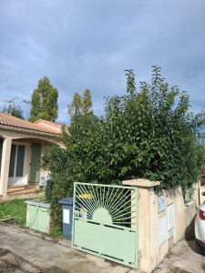 Photo de galerie - Taille troënes
