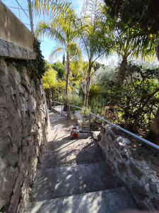 Photo de galerie - Entretien de Jardin 