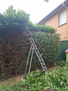 Photo de galerie - Taille 