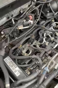 Photo de galerie - Diagnostic 