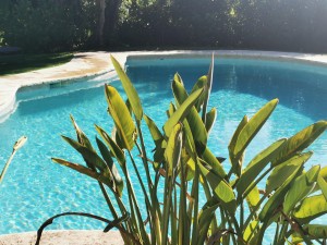Photo de galerie - Entretien piscine 