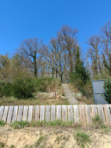 Photo de galerie - Abattage d'arbres