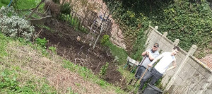 Photo de galerie - Jardinage. Desherbage