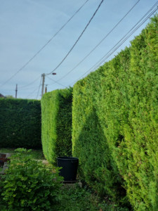 Photo de galerie - Après