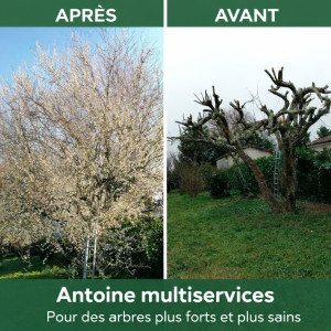 Photo de galerie - Remise en forme