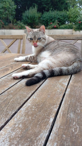 Photo de galerie - Danaé 