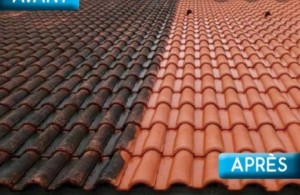 Photo de galerie - Couverture - Toiture