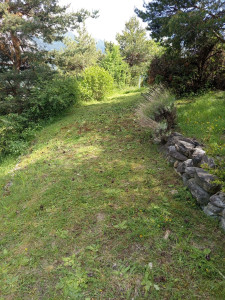 Photo de galerie - Débroussaillage enlevement déchet vert 