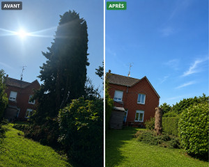 Photo de galerie - Elagage et coupe d'arbres