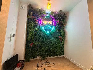 Photo de galerie - Fixation tete de singe en led fragile