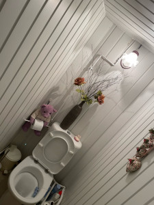 Photo de galerie - Pose d’un WC et du lambris