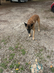 Photo de galerie - Une super malinoiseqye je garde régulièrement avec qui je dois parler qu'en anglais I love That 