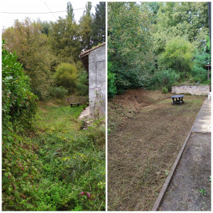 Photo de galerie - Tonte de pelouse - Débroussaillage