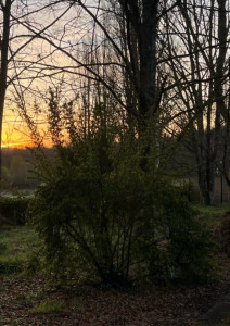 Photo de galerie - Jardinier