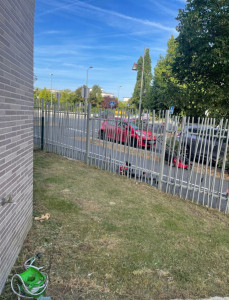 Photo de galerie - Tonte de pelouse - Débroussaillage