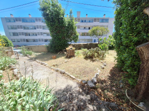 Photo de galerie - Tonte de pelouse - Débroussaillage