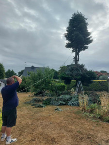 Photo de galerie - Petit élagage, enlèvement d'arbre sans les souches.... 
hauteur maxi 10m avec grande zone de chute.... arbre éloigné de bâtiment.