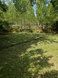 Photo de galerie - Débroussaillage d'une parcelle de 100m2 en bordure de forêt