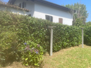 Photo de galerie - Taille de haies et d'arbustes