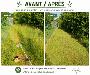 Photo de galerie - Débroussaillage avant et après 