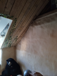 Photo de galerie - Création mur avec palette/ paille de lin/ enduit chaux/kaolin/ voliges poncées/ habillage lucarne rampante