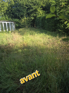 Photo de galerie - Tonte de pelouse - Débroussaillage