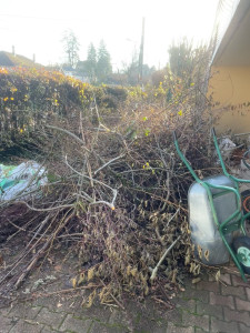 Photo de galerie - Manutention